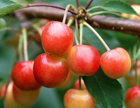 1629884194880219.jpg image.jpg