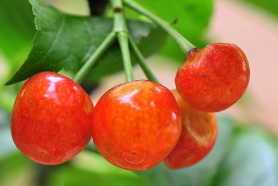 1629884203742678.jpg image.jpg