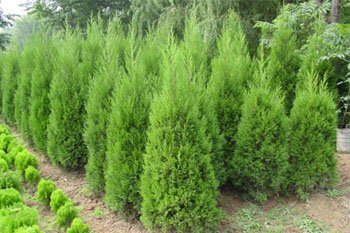 1629888495668672.jpg 1629888495668672.jpg