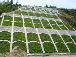 1629889187879704.jpg 1629889187879704.jpg