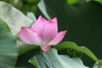 1629889753793257.jpg 1629889753793257.jpg