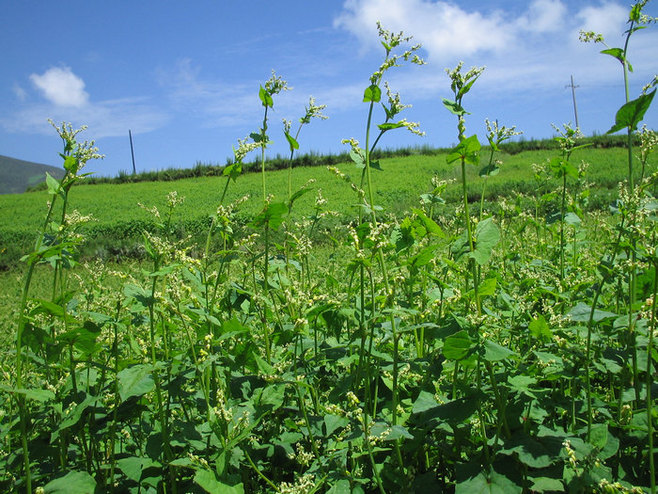 1629890326795124.jpg 1629890326795124.jpg