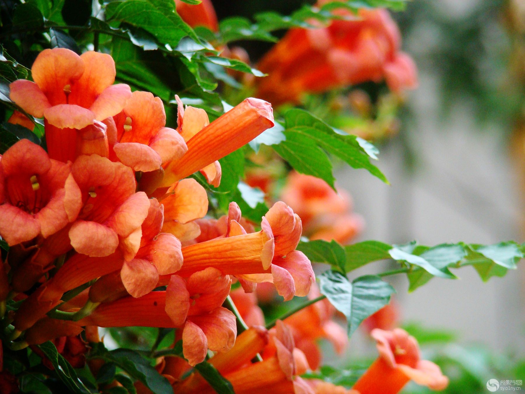 1629890727488361.jpg 1629890727488361.jpg