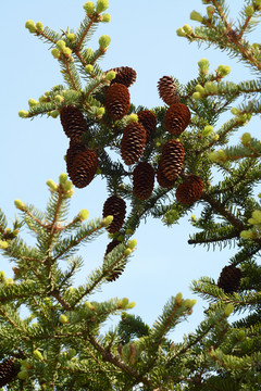 1629892978964511.jpg 1629892978964511.jpg