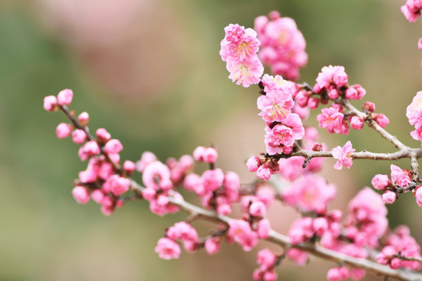 1629893661687665.jpg 1629893661687665.jpg