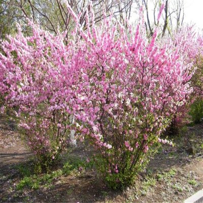 1629893685840608.jpg 1629893685840608.jpg