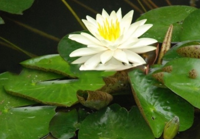 1629898544585093.jpg image.jpg