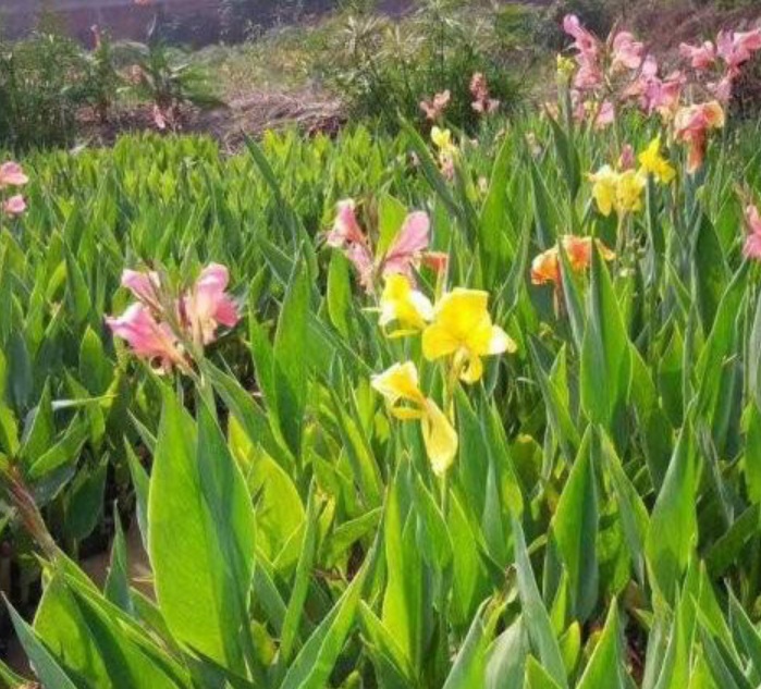 1629898856100925.jpg image.jpg