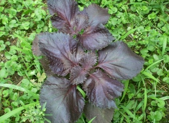 1629950878541887.jpg XH$ORVVIZ7~%8@QX1)RRI81.jpg