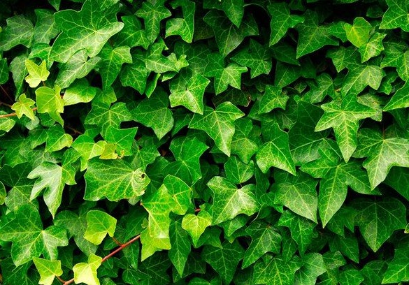 1629951191932900.jpg L)SK%0[XBGVD{RMI6`97[{B.jpg