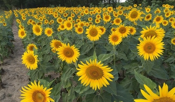 1629952043722412.jpg 6PHL5E@5)~)HSKE(~TX@1CP.jpg