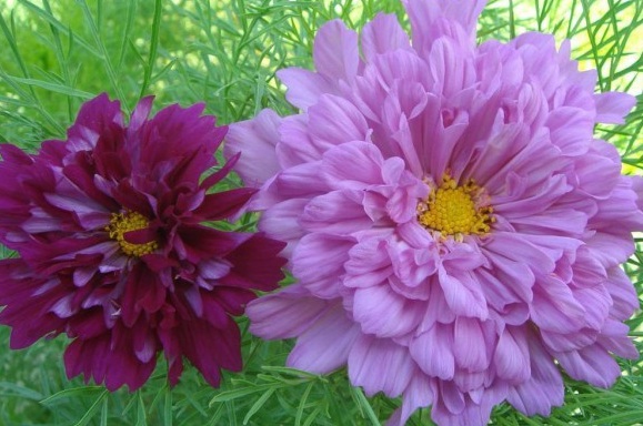 1629952173579008.jpg YQ4IQ3YD@CSS6R36WP80NTO.jpg