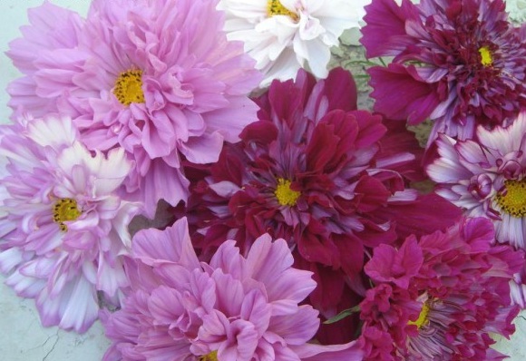 1629952198609278.jpg GUR2V%ZDRNPQL`G4T8~7J(W.jpg