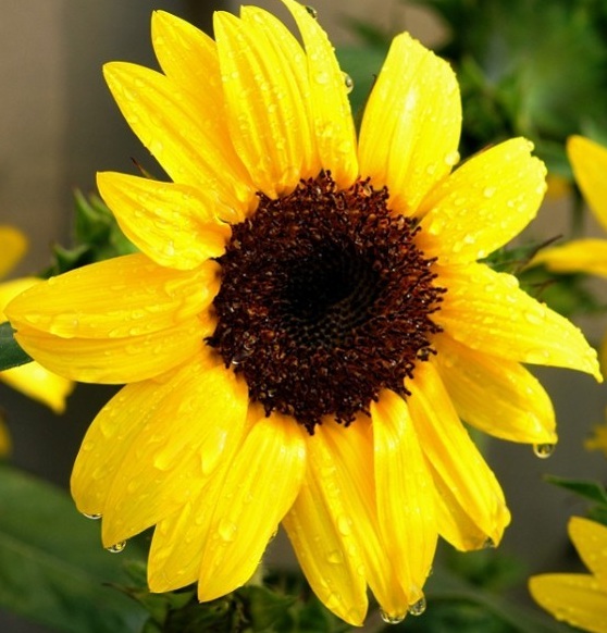 1629953005816255.jpg L@DJ`E`ZE532_WSRX`OJN4I.jpg