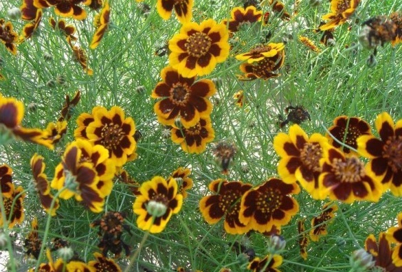 1629953489415829.jpg 9}~3CE9UJ~9$X@7O~%MW%5V.jpg