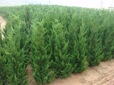 1629976951141409.jpg 1629976951141409.jpg