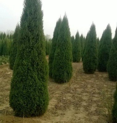 1629977012202967.jpg 1629977012202967.jpg