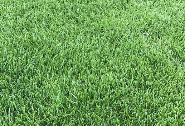 1630048733373490.jpg f32a9348f1bb67608c94f0dfcb529a78_1627018514251075.jpg