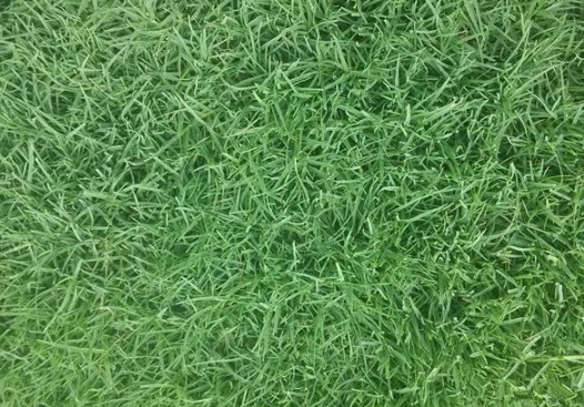 1630053092984843.jpg 8390a8db3e87a4cf54447a0e13d2f8a4_1626954694730365.jpg