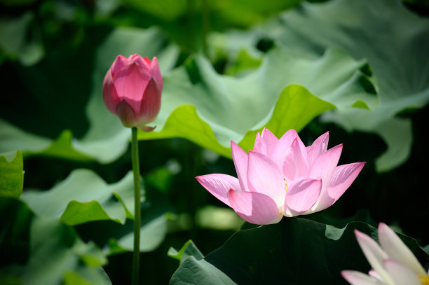 1630057135460320.jpg 90d7af649a36e8f2c8ef127bf79d21d9_t01f5ec691a4763e8f8.jpg