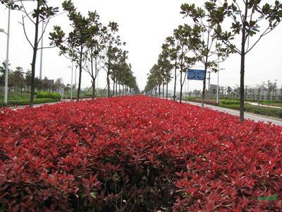 1630059061476002.jpg 1630059061476002.jpg