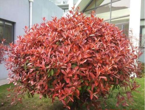 1630059245176182.jpg 1630059245176182.jpg