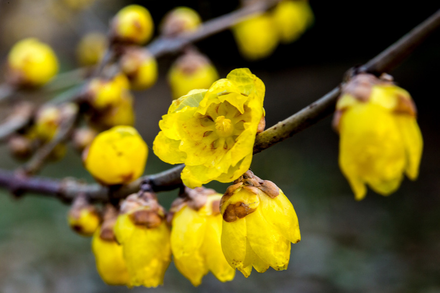 1630060164724808.jpg 1630060164724808.jpg