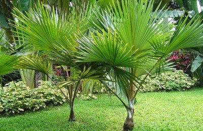 1630062174734228.jpg 1630062174734228.jpg