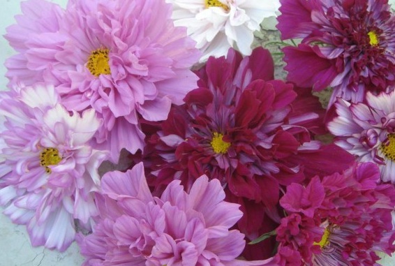 1630066426681474.jpg 29NVB1151)HX88}2_W1M3XY.jpg