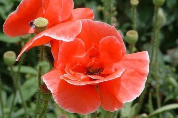 1630067129709100.jpg 4R01%ZEU87[LHMCK[6W)NTX.jpg