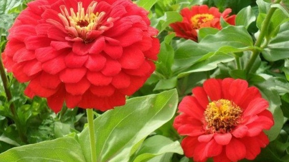 1630067186550107.jpg VDM(3DN($Z9O0WPXH[B}WF7.jpg