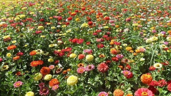 1630067268379612.jpg K~X}W2A}Q``GZ9JHEJ61SWR.jpg