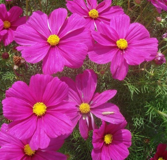 1630067756969833.jpg 4SMGJZ~RTO$FZ@K70}Z6L45.jpg