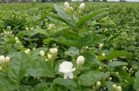 1630069792904874.jpg D%[DW4WPOWAEF@3G2YZWFHH.jpg