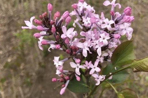 1630070613252466.jpg 6WWN}0%QGZ_B8YKX``O7INF.jpg