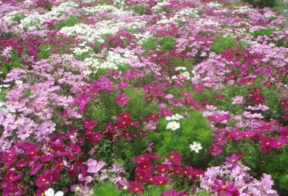 1630071527869429.jpg {2M~(UN@DGSW(8G~Z9J`)O4.jpg