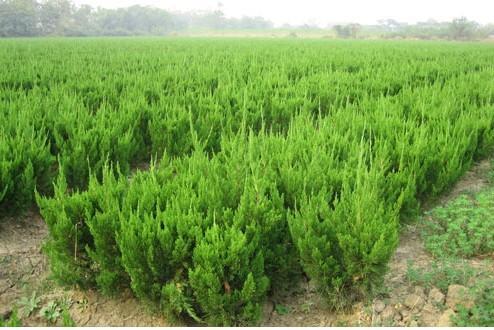 1630075318604171.jpg 1630075318604171.jpg