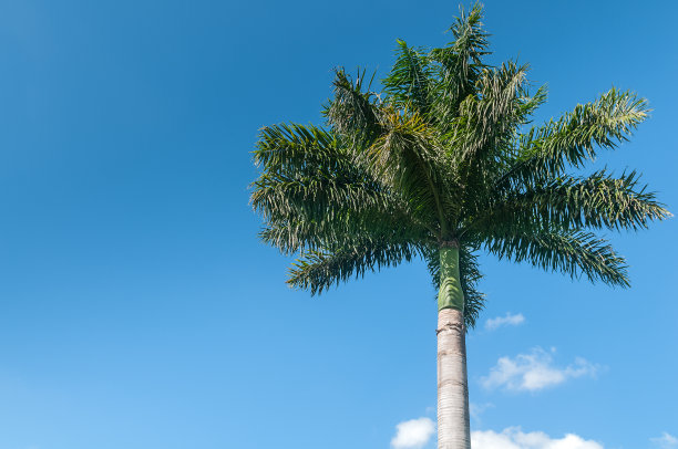 1630075490831206.jpg 1630075490831206.jpg