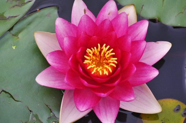 1630075743632425.jpg 1630075743632425.jpg