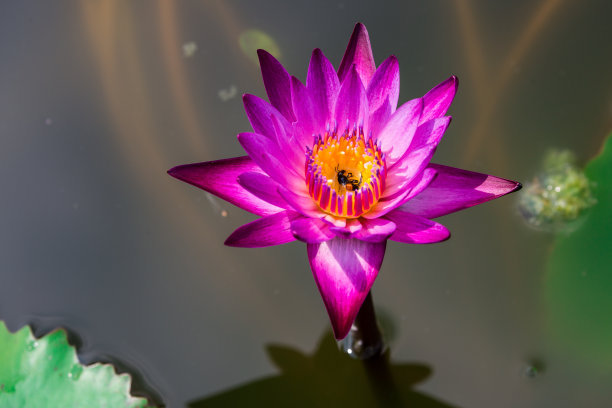 1630075743866957.jpg 1630075743866957.jpg