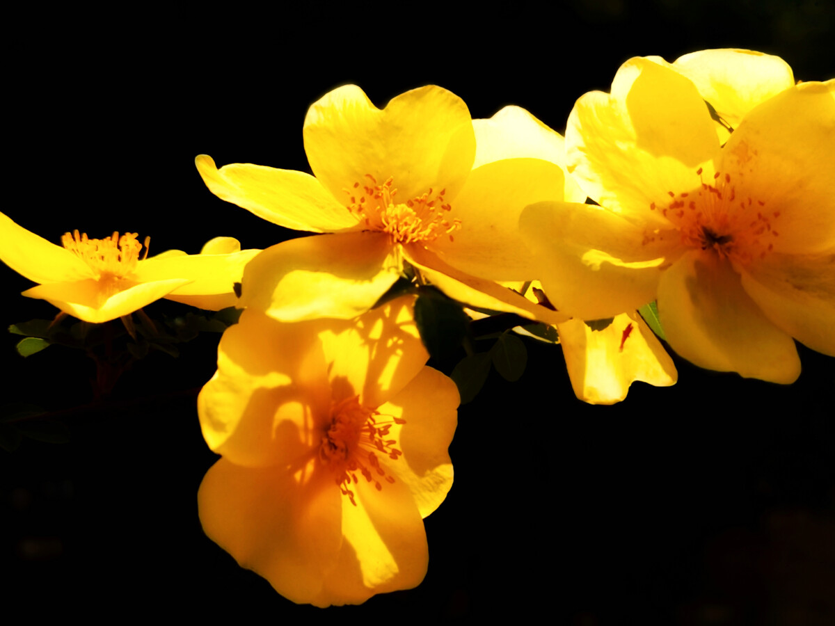 1630076583705957.jpg 1630076583705957.jpg