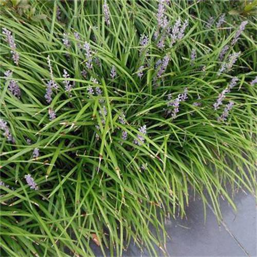 1630076979546104.jpg 1630076979546104.jpg