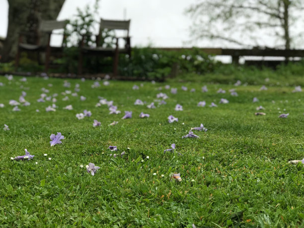 1630077141949388.jpg 1630077141949388.jpg