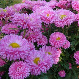 1630077337406026.jpg 1630077337406026.jpg