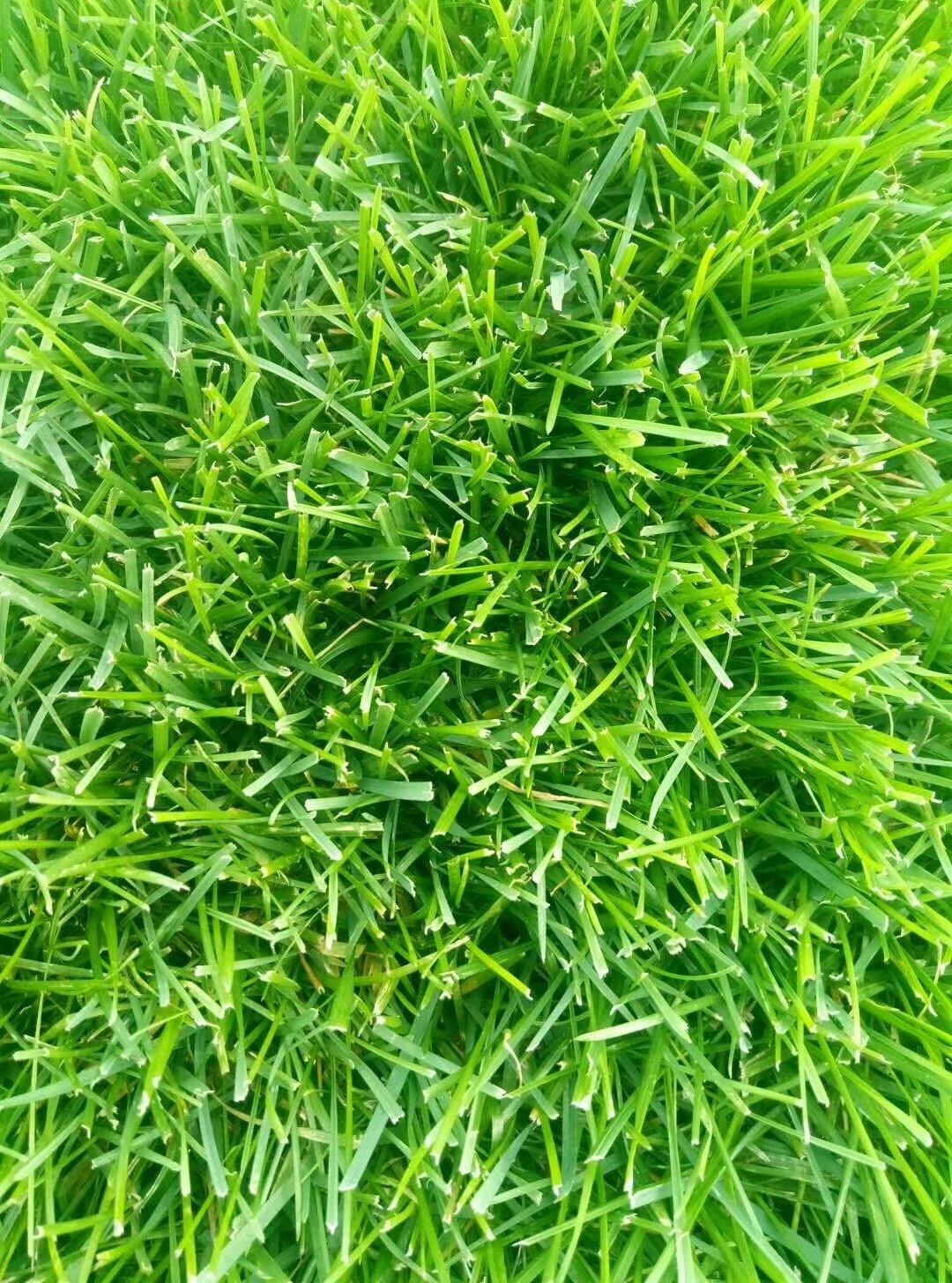 1630077558239211.jpg 1630077558239211.jpg