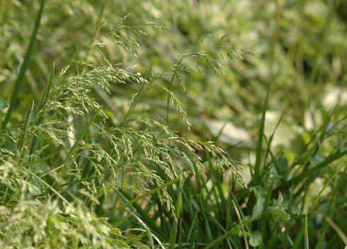 1630077558904284.jpg 1630077558904284.jpg