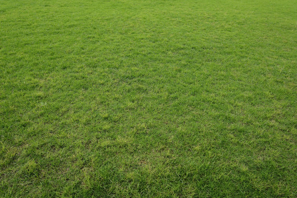 1630077936149653.jpg 1630077936149653.jpg