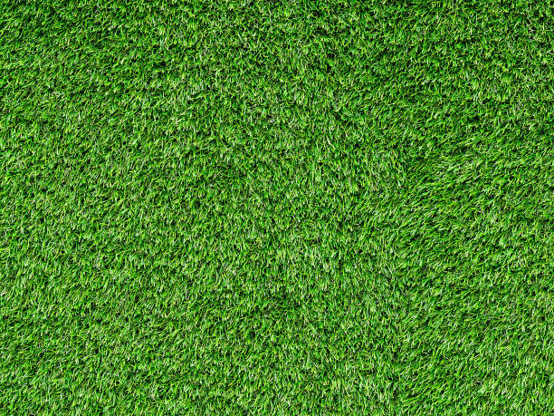 1630077936158142.jpg 1630077936158142.jpg