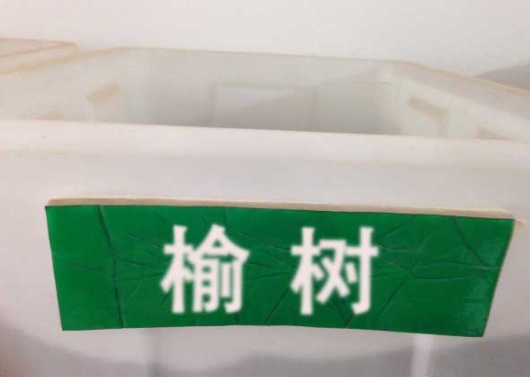 1630115816782948.jpg image.jpg