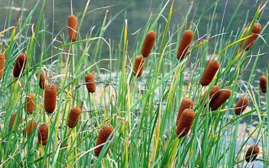 1630116183639700.jpg image.jpg